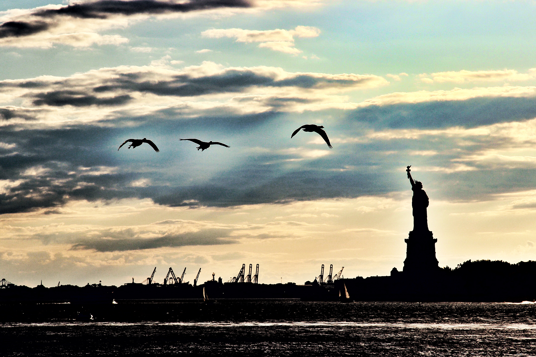 View of New York Harbor, the Statue of Liberty and seagulls. 